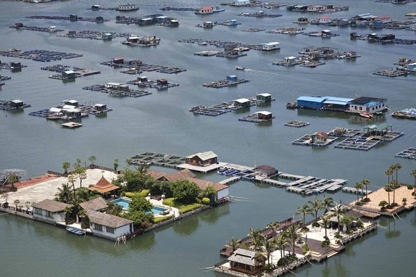 深圳大梅沙游艇会-南澳 深圳大梅沙游艇会-南澳