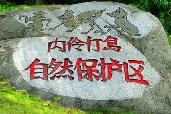 深圳湾——内伶仃岛 深圳湾——内伶仃岛