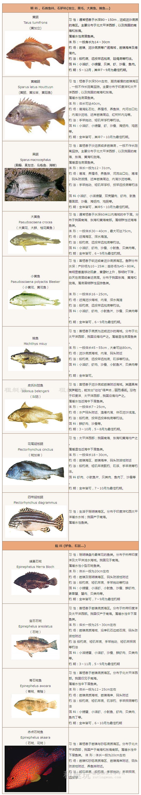 形象圖火狐截圖_2015-11-24T04-12-33.jpg