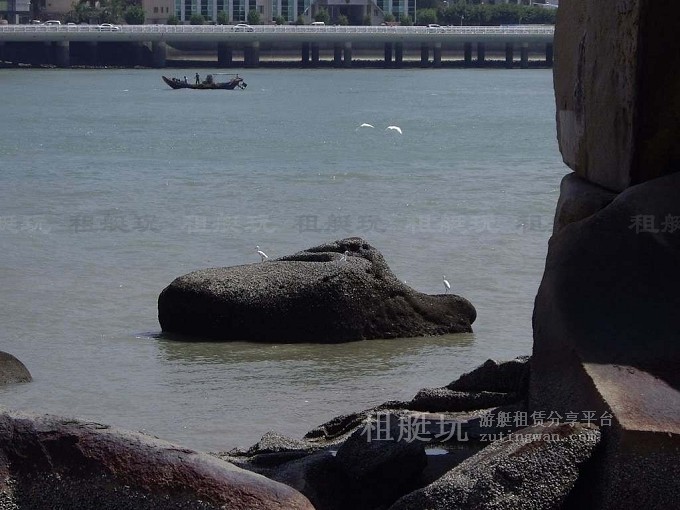 大圖大兔嶼白鷺.jpg
